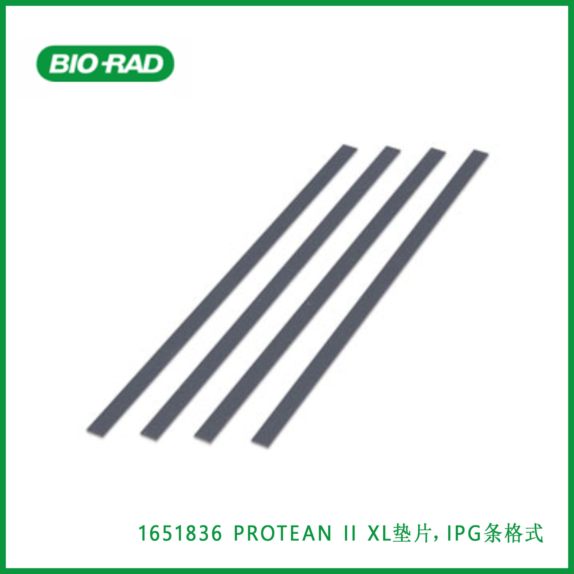伯乐Bio-Rad  1651836  PROTEAN II XL垫片，IPG条格式