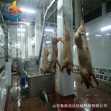 i׾i_ iëC iëC ëiëC