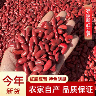���ڼt������������خa��t����녶������s�Z�tܿ����؛���