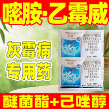 26%�װ�&middot;��ù���S�ϻ�ù�����Ú�����������ù����ù����Ʒ�rș