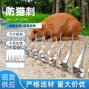 Anti-Cat Four-Sided Spiked Stainless Steel Residential Community Fence Villa Anti-Cat Iron Spike Fence Wall Anti-Climbing Anti-Snake