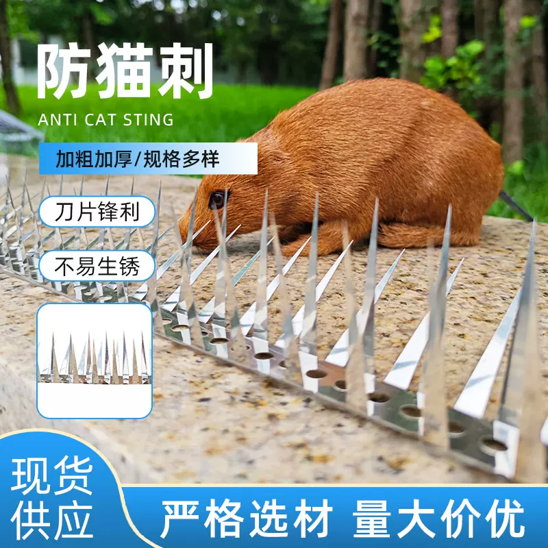 防猫四面刺不锈钢住宅小区围墙别墅防猫铁刺围栏墙防攀爬防蛇