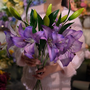 ��ɫ�ٺϻ� 1֧���^ ���ɫϵ ������ ���s�L���滨