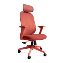 ���w���W�OӋ�o�������T�k�����h�ξW������������X���ӎ��^��