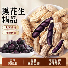 农科院云南黑花生新鲜带壳生的原味炒熟黑皮花生去壳花生米黑花生