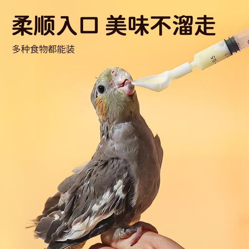 オウムの授乳スプーン、若鳥の粉ミルクスプーン、鳥の餌やりツール、オウムの若鳥の餌やりスプーン|undefined