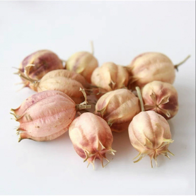 DIY фруктовая раковина Pinecorus деревянный кусочек лист сухоцвета фруктовое сочетание Рождество установленный детский сад украшение винтажное предложение