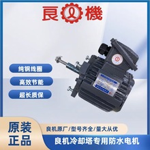 良机冷却塔电机AEVH-NV三角支撑安装加长轴水塔专用三相异步电机