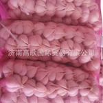 【厂家直销】 保鲜蒜瓣garlic 质量保证蒜瓣