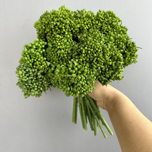 ܛ�z����� �ָл��˼Ҿ��b�ܛ�b��ˇ���m�ДzӰ���߷��滨