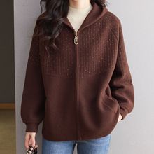 2025年秋冬休闲风连帽拉链开衫女宽松针织衫百搭休闲上衣新款
