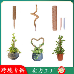 園芸亀背竹支持コケ棒緑羅植物が水苔柱を登ることができます。