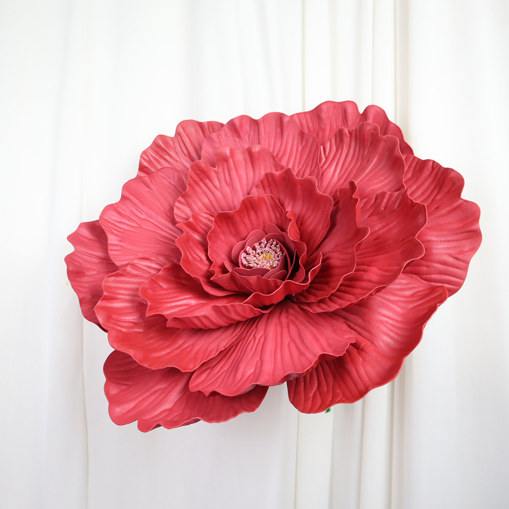 버건디 약 50cm