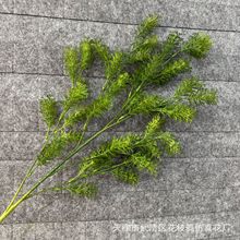 �����L֦�J���� ��횲� ��c����Gֲ���� ��Y��ܛ�bɭϵ�~��