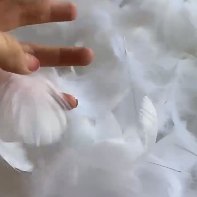 一二代labubu娃衣套装白天使羽毛翅膀金树叶皇冠宫廷复古竖琴配饰|undefined