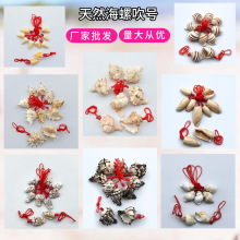地摊摆件多种螺吹贝壳海螺工艺品贝壳海螺口哨儿童玩具海螺号批发