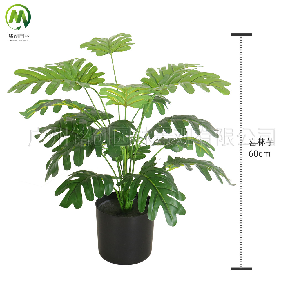 Paisaje interior del suelo, planta pequeña de hoja grande, planta pequeña, planta de taro de hadas, 60cm, planta verde de simulación de monstera, planta pequeña en maceta image 10
