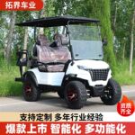 外贸跨境高尔夫球车四轮电动观光车 景区旅游观光电动高尔夫球车