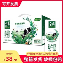 金典纯牛奶整箱批250ml12盒学生儿童营养高钙早餐奶临期包装其他
