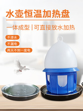 鸽子加热饮水器水壶加热喝水鸽具信鸽加温底座器喂饮水器鸽用