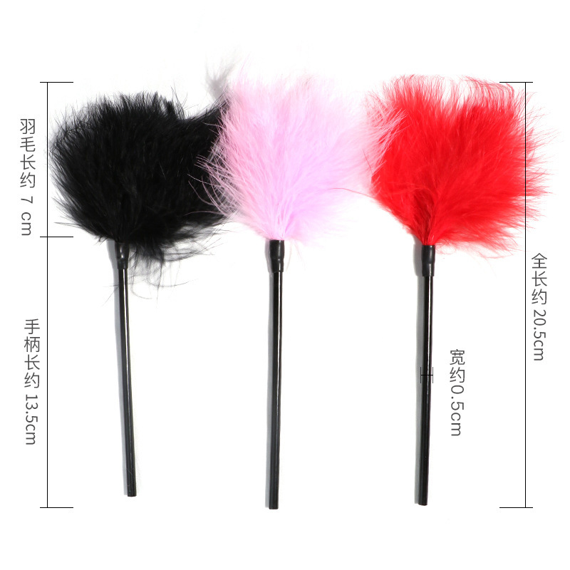 Jiuai Adult Products, Interesting Feather Brush, Teasing Stick, Alternative Sex Toys, Sm Set, Sexual Sex Supply