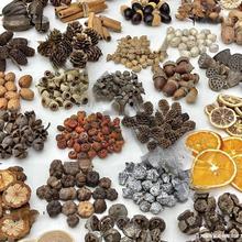 ľƬֲ̫˱ɹdiyɻϰֹ