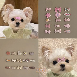 ���˼s����С���ӹ����l�A��ë��l�A�l���A�Ӻ����Y�����A