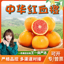 【严选】湖北中华红血橙 代发3/5斤新鲜水果秭归红橙非塔罗科鲜橙