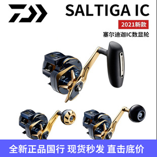 �_�|��DAIWA/�_��ِ������SALTIGA IC���@݆�������݆���u�F��݆