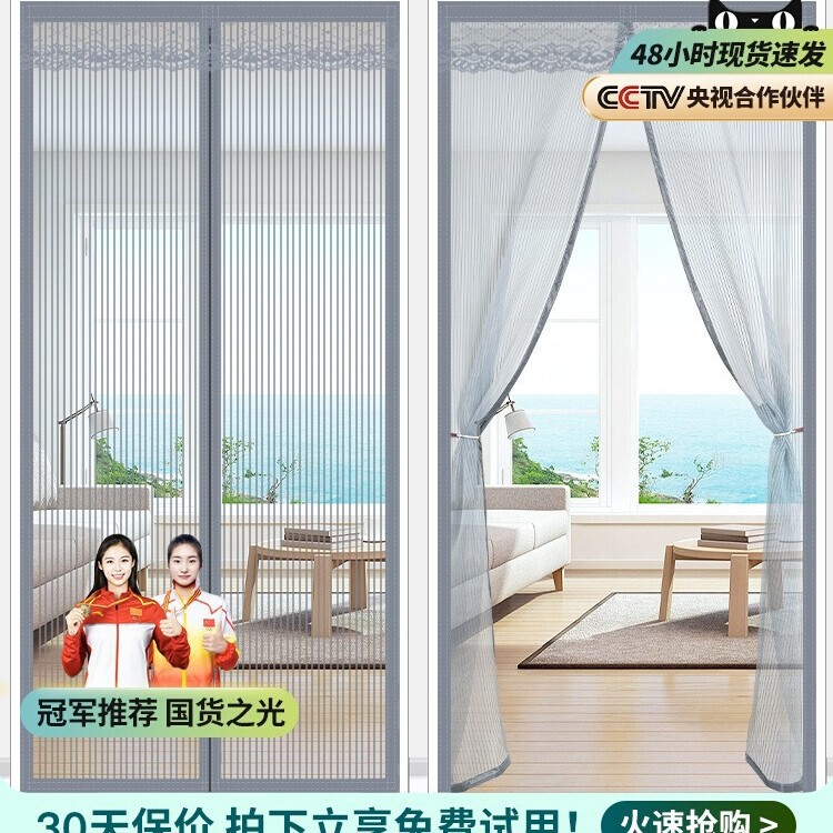 Anti-Mosquito Door Curtain 2025 New Partition Curtain Summer Summer Gauze Curtain Household Strong Magnetic Magnetic Strip Screen Window
