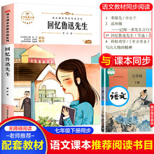 萧红回忆鲁迅先生小学生语文课本作家作品系列六年级课外