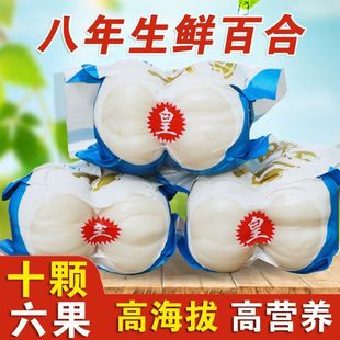 ��؛�m���r�ٺ��m�ݰٺ��r���m�ݰٺ�ʳ����ٺ����r�ٺϸ��C���l