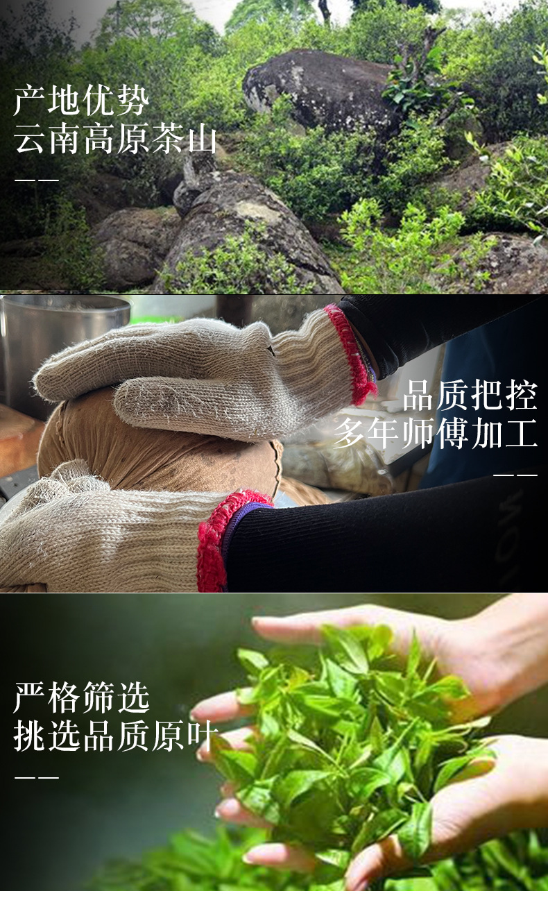 云南古茶生茶饼详情页_04.jpg