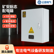 矿安标志配电箱GKD/PKD矿井一般型开关箱KAKY矿用低压开关控制柜