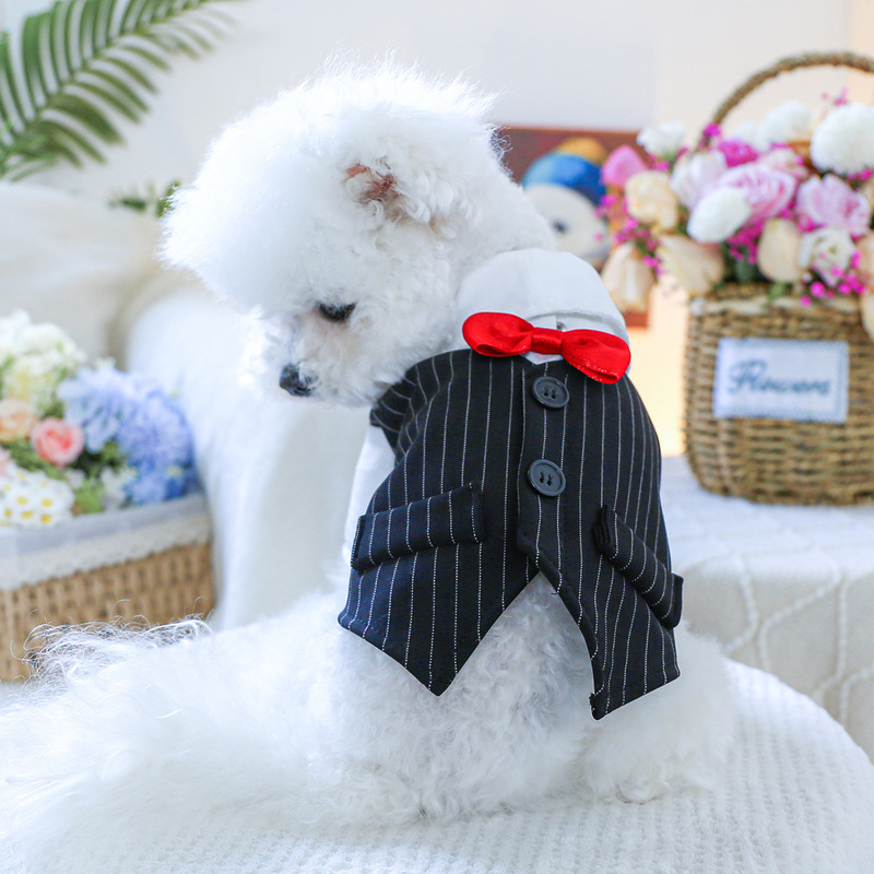 Ready-Stock Pet Clothing, Small Dog Clothes, Spring and Autumn Wear, Cat Wedding Shirt, Black and White Tuxedo, Can Be Attached to a Leash, Wholesale