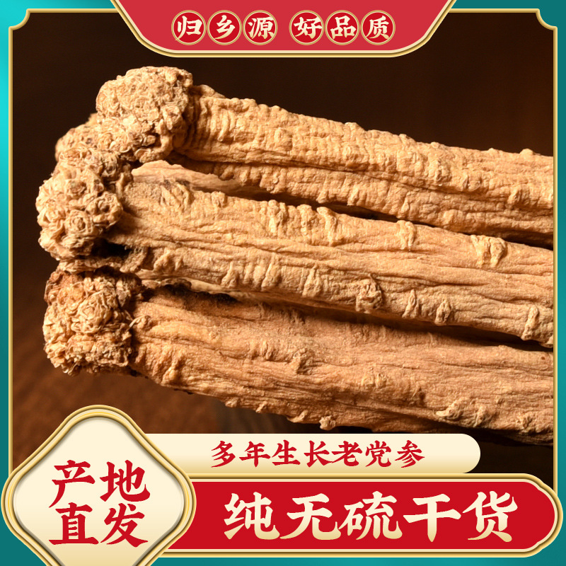 Codonopsis Large dried food Gansu Minxian Season Flood damage health preservation wholesale Free of charge section