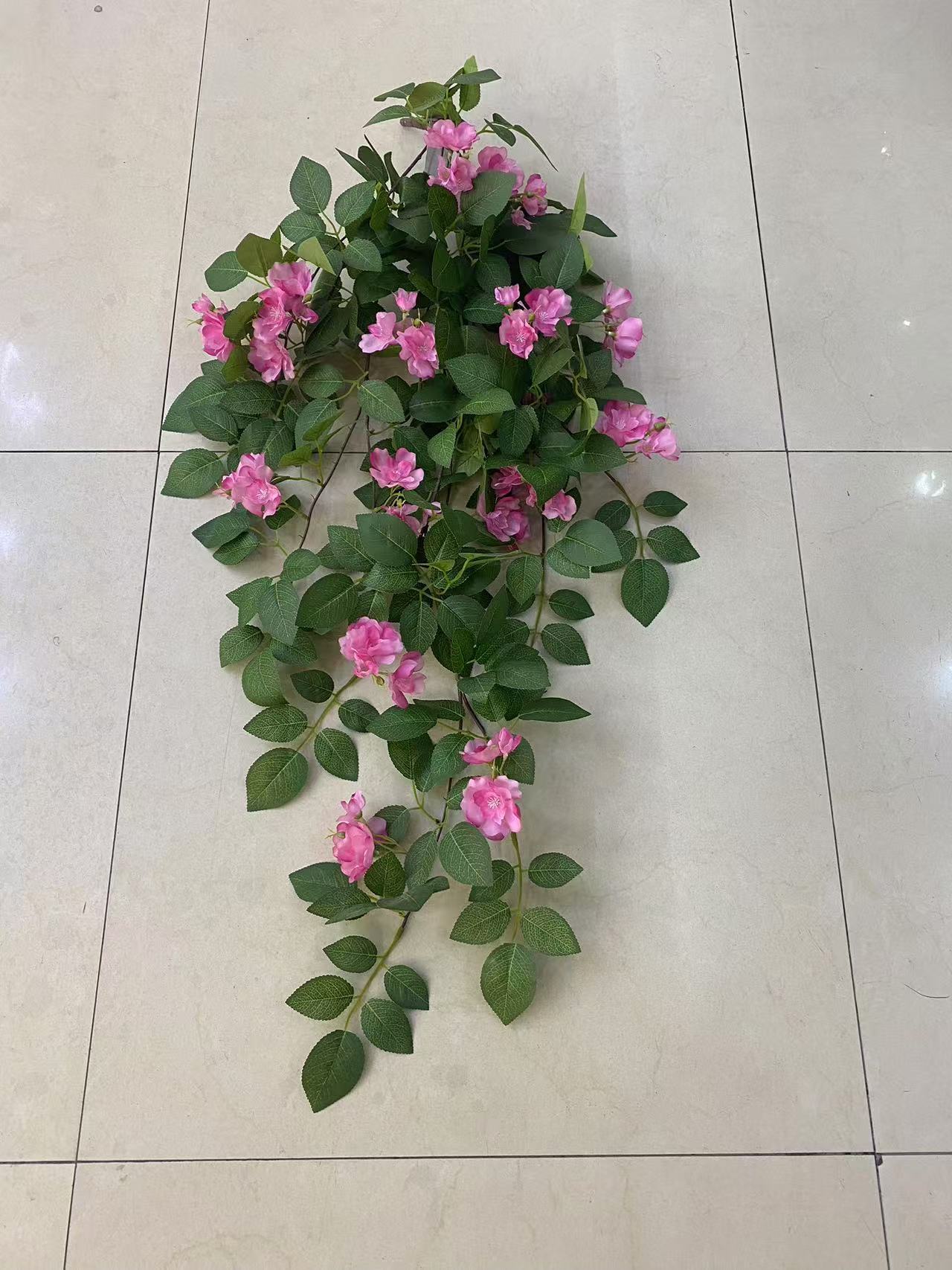 微信图片_20250103132321