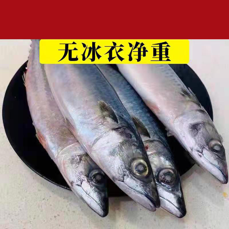 鲅魚青占魚鲐魚鲐整條新鮮冷凍青花魚深海海魚海鮮水産批發速賣通
