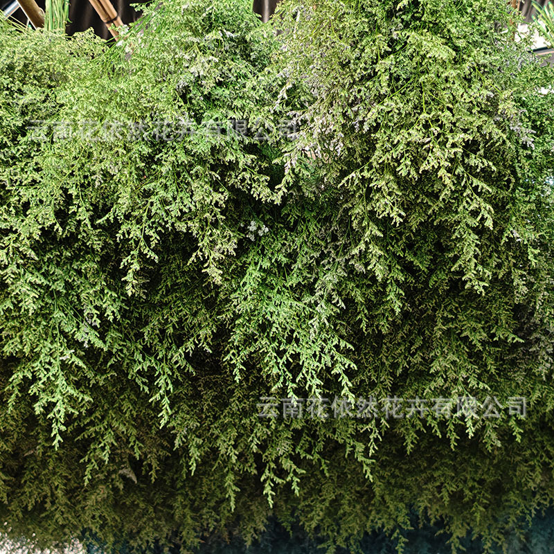 微信图片_20250404164845