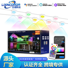 屋外軒灯LEDスマート防水軒灯国境を越えた軒灯RGB落書きWIFI幻彩APP制御