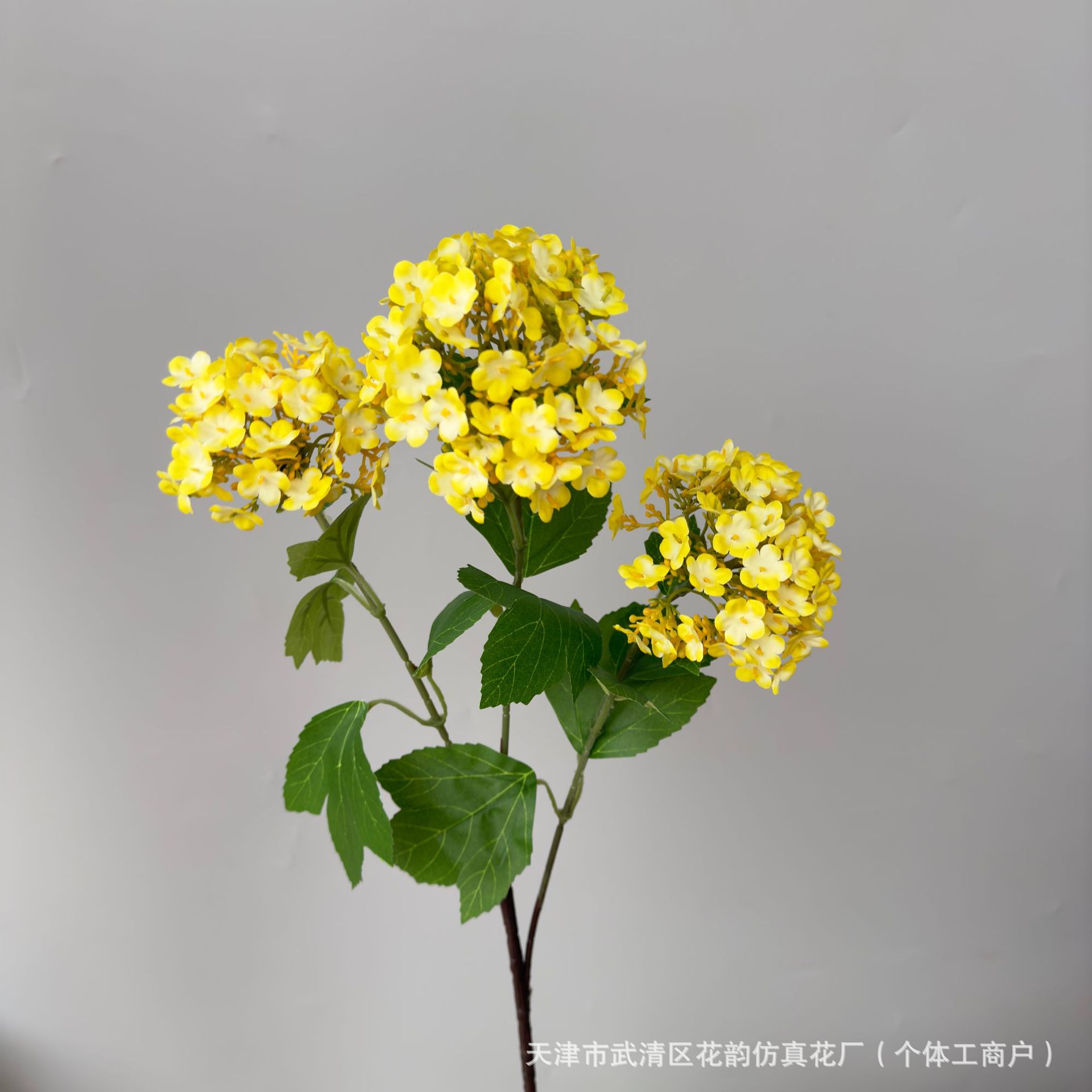 노란색