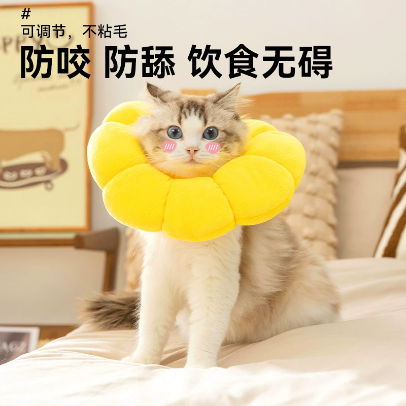 Подсолнух, наполняй ватную елизаветиную шею