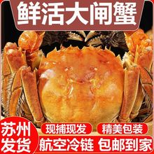 �r����lз��ĸ�з���r���rˮ�a�Y��6/10ֻ���K�K�ݰl؛���x���S