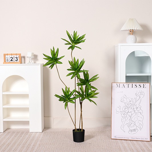 Lily Bamboo A regular 6 cabezas-120cm