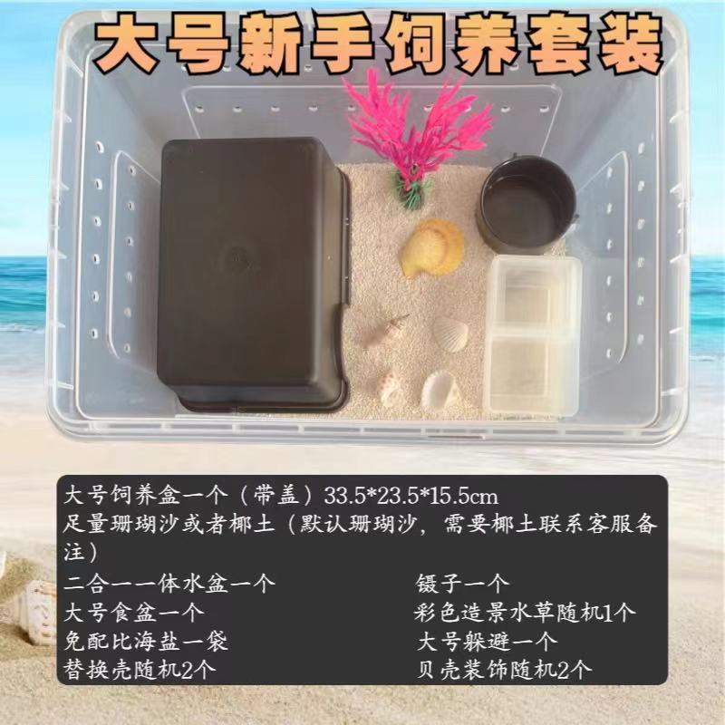 寄居蟹专用饲养爬宠饲养盒昆虫观察盒新手套装饲养缸寄居蟹套餐|undefined
