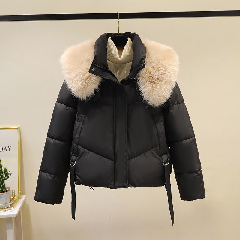 Invierno de 2025, ropa de algodón corta de moda coreana, abrigo de algodón de cuello vertical, abrigo de mujer grueso, cálido y suelto.