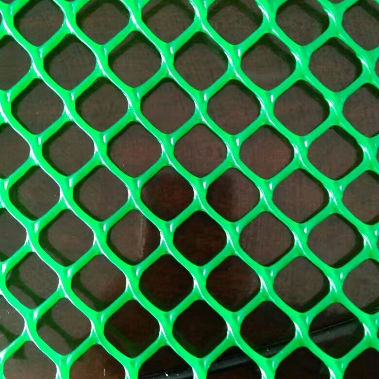 塑料平网   万用网  养殖专用  白色  绿色现货