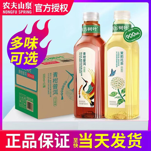 Nongfu Spring Oriental Leaves Green Mandarin Pu'Er Tea Jasmine Tea 900ml*12 Bottles Large Bottle Tea Beverage