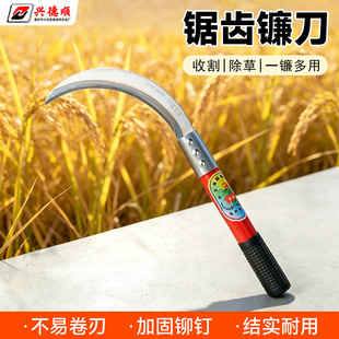 ȫ�砵��r���ո�����ݵ���X砼��ø����׿�������L������