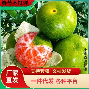 һ�����l��Ƥ���ٹ�����޽��������������̨ͥԺ�o�ѽ����ɳ